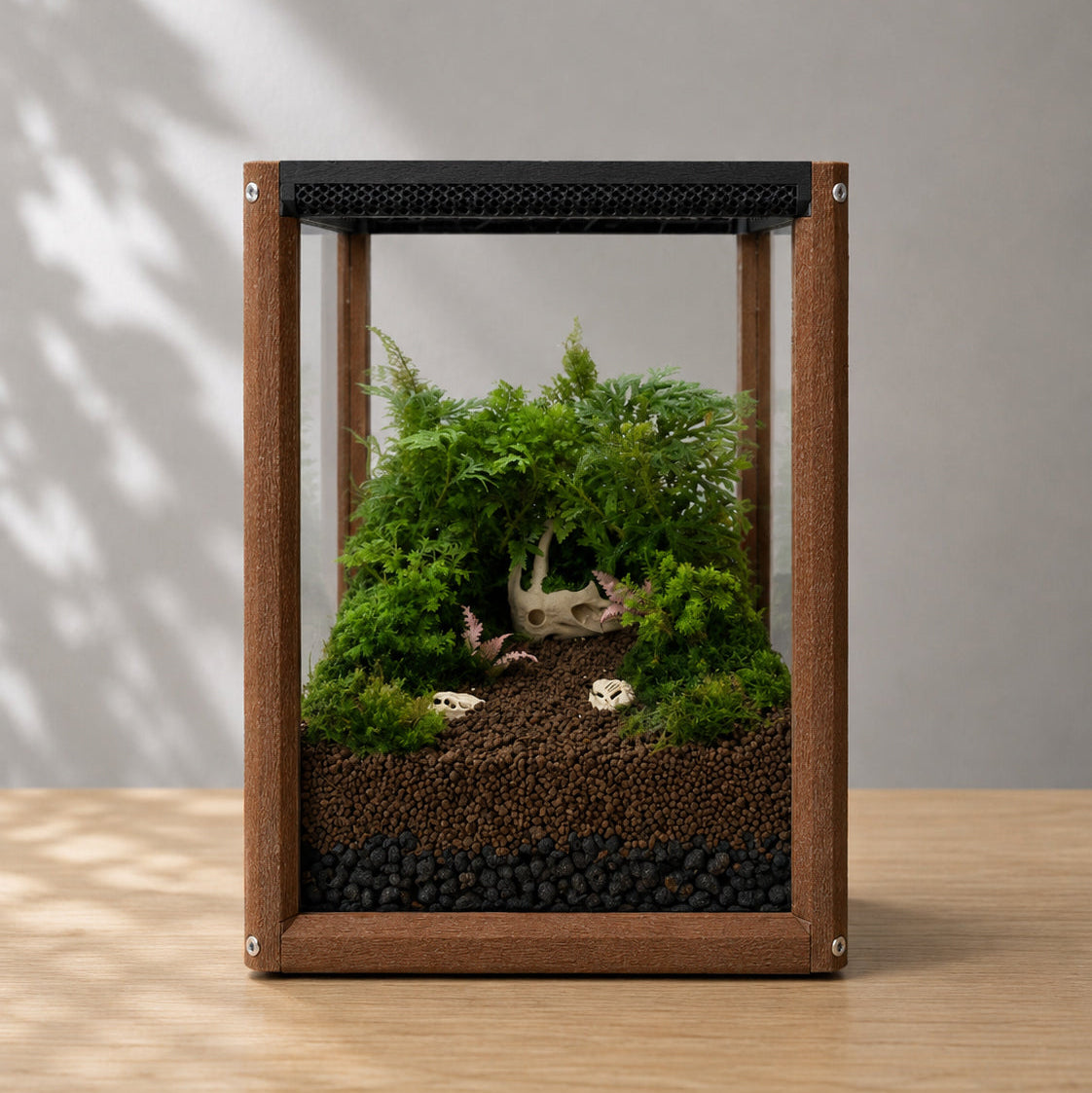 模組艙應用展示